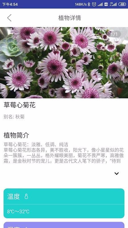 森林甜心app下载,森林甜心手机版